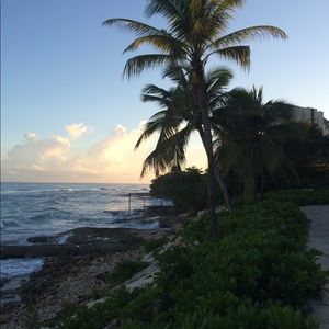 Meet your Posher, Lizzie